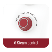 Six Steam Settings