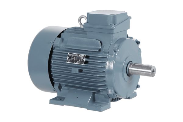 Premium Series IE 2 Motors Foot Mounted (B3) Two Pole - 3000 Revolution per minute 