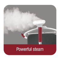 Powerful Steamer